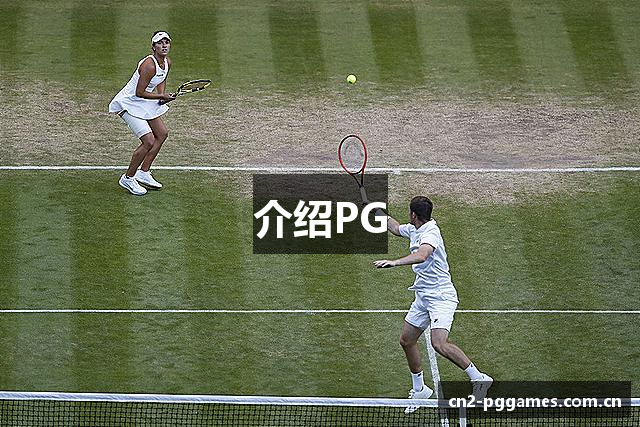 介绍PG
